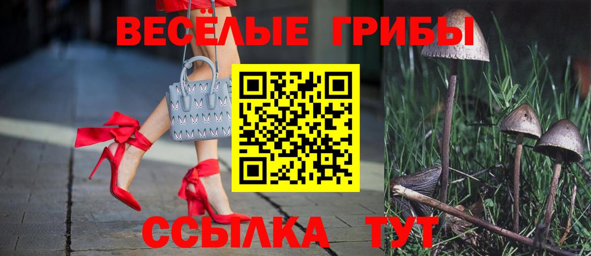 Галлюциногенные грибы прущие грибы  дарнет шоп  Елизово  Вход с VPN 